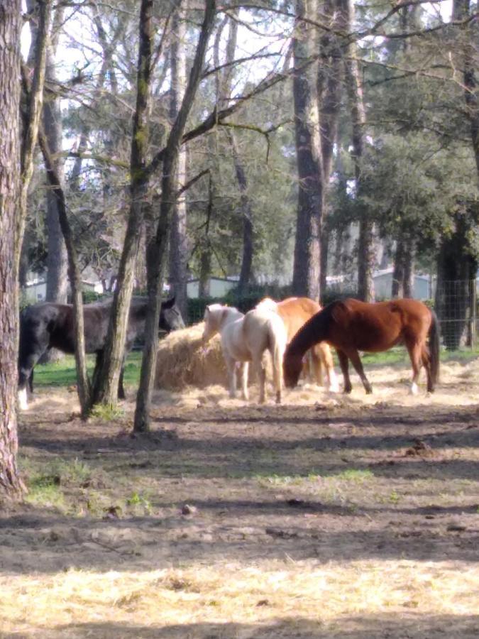 Mobil Les Bains Campsite *